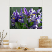 Lila Iris Blume Poster Art drucken (Küche)