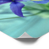 Lila Iris Blume Poster Art drucken (Ecke)