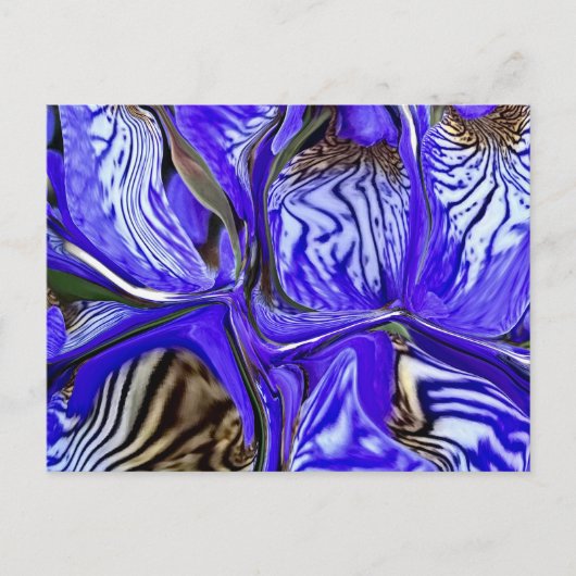 Lila Iris-Blume Postkarte (Vorderseite)