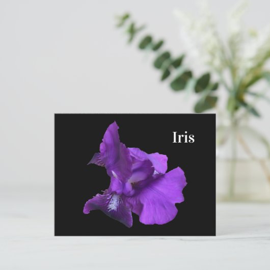 Lila Iris-Blume Postkarte (Stehend Vorderseite)