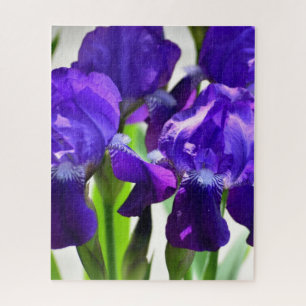 Lila Iris-Blume Puzzle