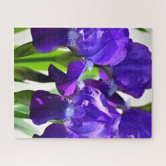 Lila Iris-Blume Puzzle (Horizontal)