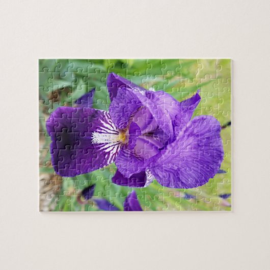 Lila Iris-Blume Puzzle (Horizontal)