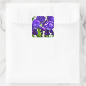 Lila Iris-Blume Quadratischer Aufkleber (Tasche)