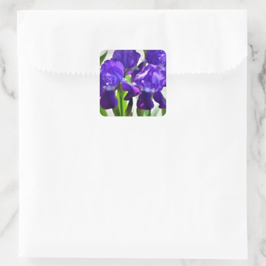 Lila Iris-Blume Quadratischer Aufkleber (Tasche)