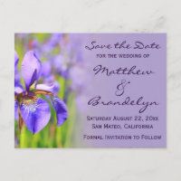 Lila Iris Blume Save the Date Postkarten