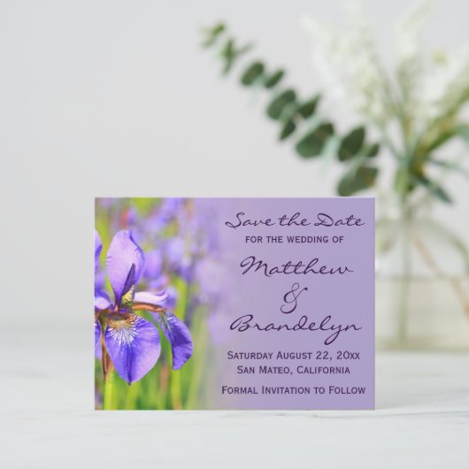 Lila Iris Blume Save the Date Postkarten (Stehend Vorderseite)