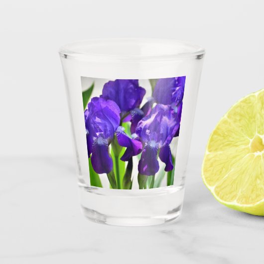 Lila Iris-Blume Schnapsglas (Vorderseite)