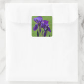 Lila Iris Blume Stickers (Tasche)