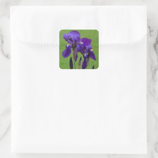 Lila Iris Blume Stickers (Tasche)
