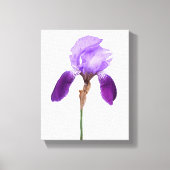 Lila Iris-Blume trendy boho Blumengläsern, gurt Leinwanddruck (Vorderseite)