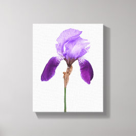 Lila Iris-Blume trendy boho Blumengläsern, gurt Leinwanddruck