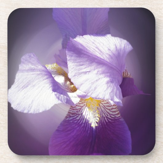 lila Iris-Blume Untersetzer (Vorderseite)