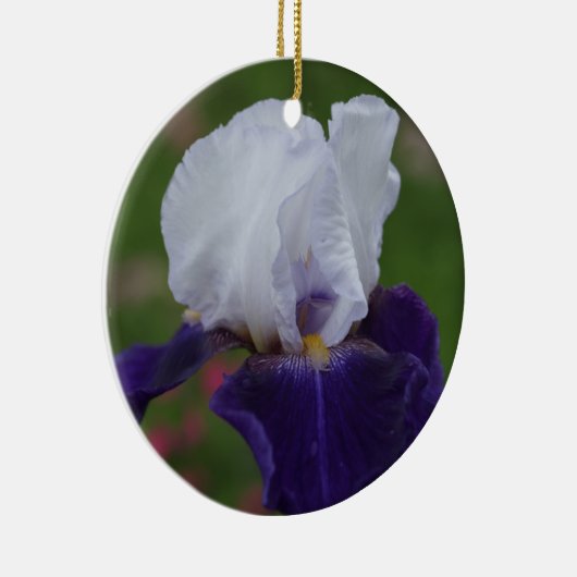 Lila Iris Blume Weihnachtsfeier Keramikornament (Rechts)