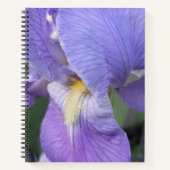 Lila Iris-Blumen-Blumen-Notizbuch Notizblock (Vorderseite)