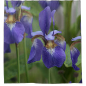 Lila Iris-Blumen Duschvorhang (Vorderseite)