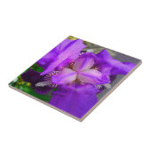 Lila Iris-Blumen-Fliese Fliese (Seite)
