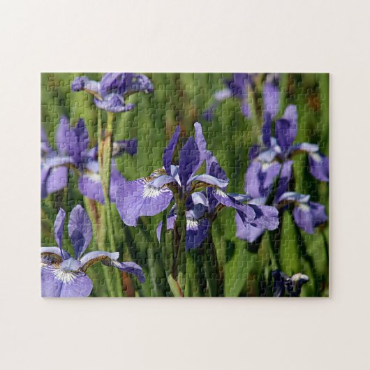 Lila Iris-Blumen Puzzle (Horizontal)