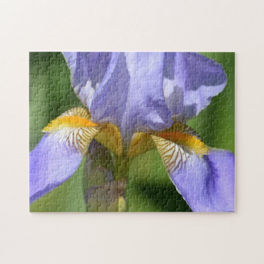 Lila Iris-Blumenfotografie Puzzle (Horizontal)