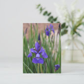 Lila Iris Botanical Floral Fotografisch Postkarte (Stehend Vorderseite)