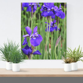 Lila Iris Botanical Floral Leinwanddruck