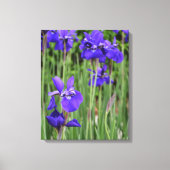Lila Iris Botanical Floral Leinwanddruck (Vorderseite)