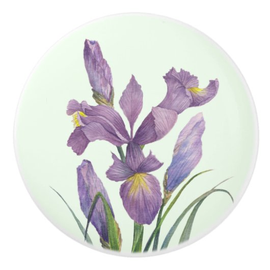 Lila Iris Botanical Floral Schlicht Duck Egg Blau Keramikknauf (Vorderseite)