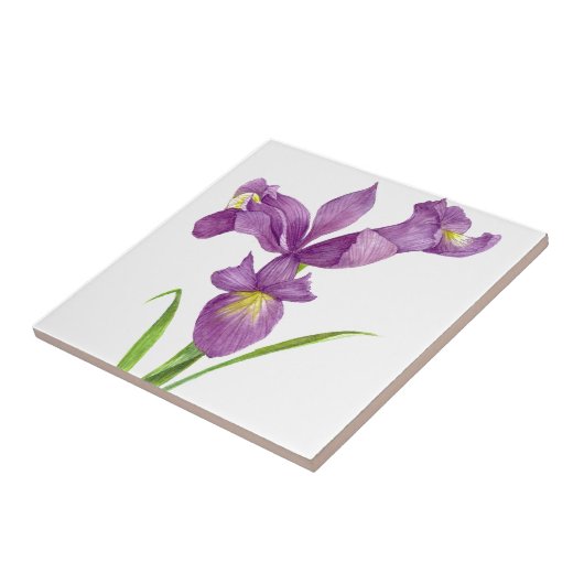 Lila Iris Botanische Blumenart Fliese (Seite)