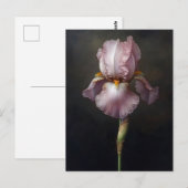 Lila Iris botanische Malerei Postkarte (Vorne/Hinten)