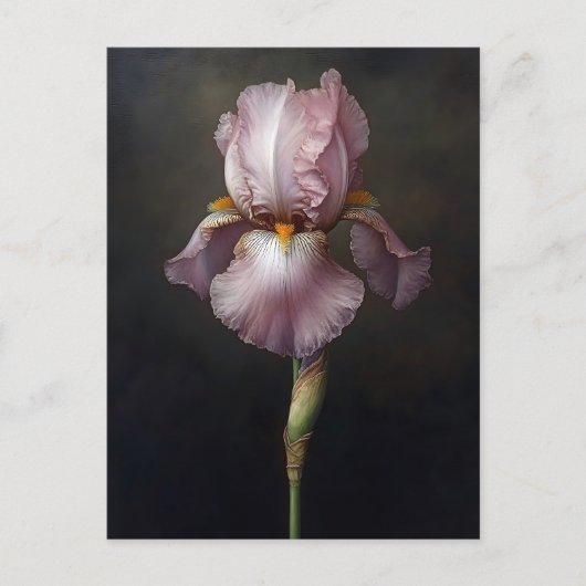 Lila Iris botanische Malerei Postkarte (Vorderseite)