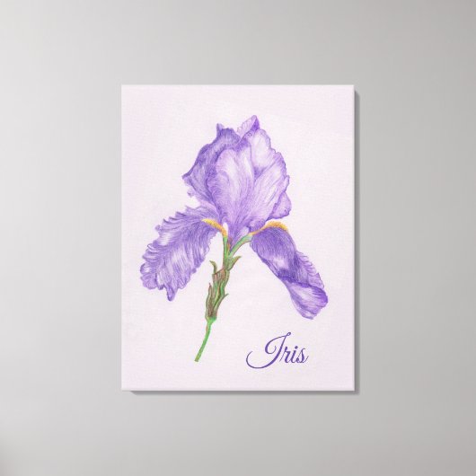 Lila Iris, botanischer Stil, farbige Stilkunst Leinwanddruck (Vorderseite)