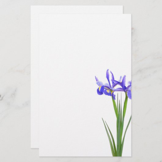 Lila Iris Briefpapier (Vorne/Hinten)