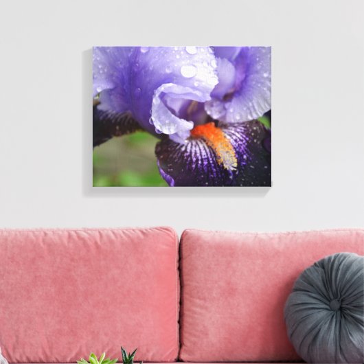 Lila Iris Canvas Print Leinwanddruck (Insitu (Wohnzimmer))