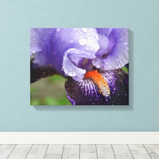 Lila Iris Canvas Print Leinwanddruck (Insitu (Holzboden))