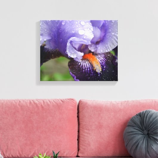 Lila Iris Canvas Print Leinwanddruck (Insitu (Wohnzimmer))