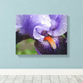 Lila Iris Canvas Print Leinwanddruck (Insitu (Holzboden))