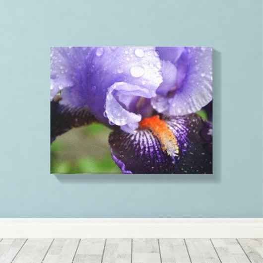 Lila Iris Canvas Print Leinwanddruck (Insitu (Holzboden))