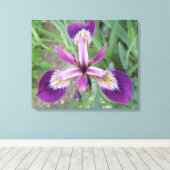 Lila Iris Canvas Print Leinwanddruck (Insitu (Holzboden))