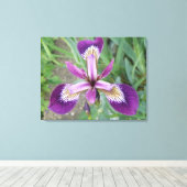 Lila Iris Canvas Print Leinwanddruck (Insitu (Holzboden))
