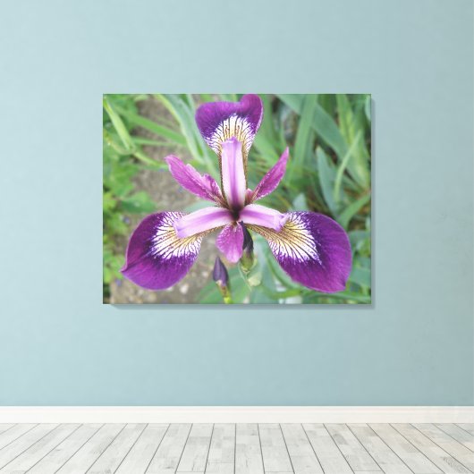 Lila Iris Canvas Print Leinwanddruck (Insitu (Holzboden))