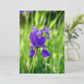 Lila Iris Dankeskarte (Stehend Vorderseite)