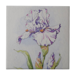 Lila Iris des Streifen-5340 Fliese