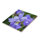 Lila Iris Fliese (Seite)