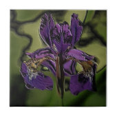 Lila Iris Fliese (Vorderseite)