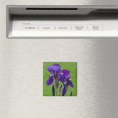 Lila Iris Flowe Magnet (In Situ (Geschirrspüler))