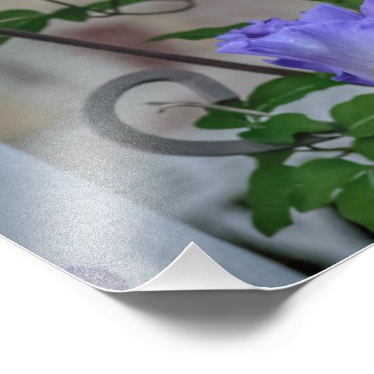 Lila Iris Foto Print (Ecke)