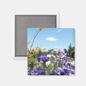 Lila Iris Garden Magnet (Vorderseite/Rückseite)