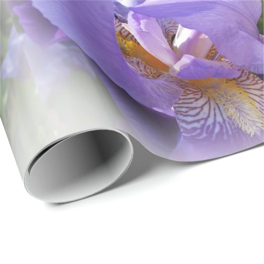 lila Iris Geschenkpapier (Rolleneckpunkt)