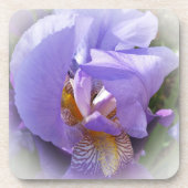 lila Iris Getränkeuntersetzer (Vorderseite)