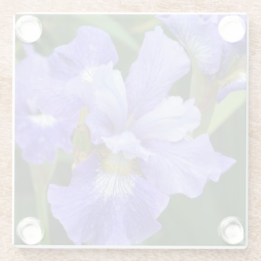 Lila Iris Glasuntersetzer (Rückseite)